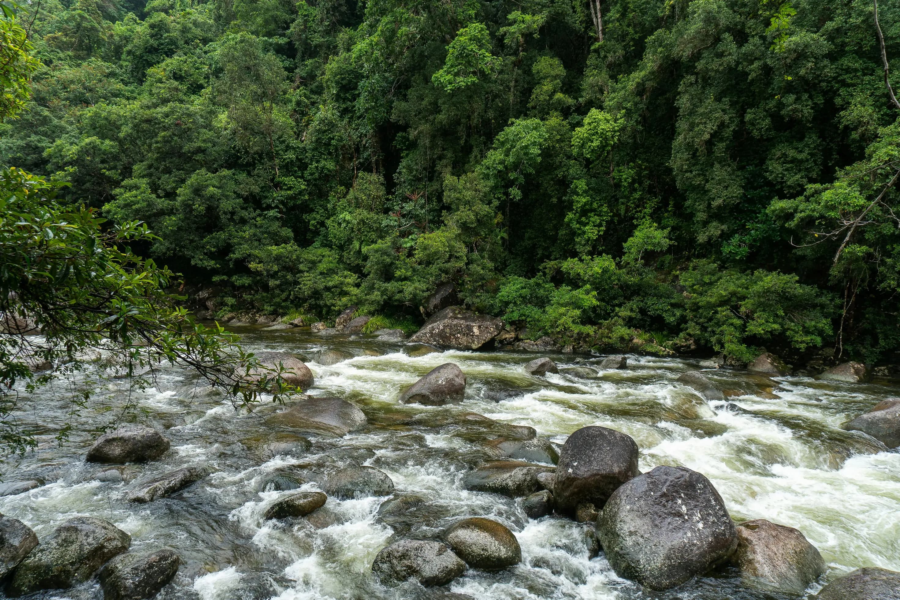 Aerial view of Mossman Gorge’s boulders and rainforest canopy.