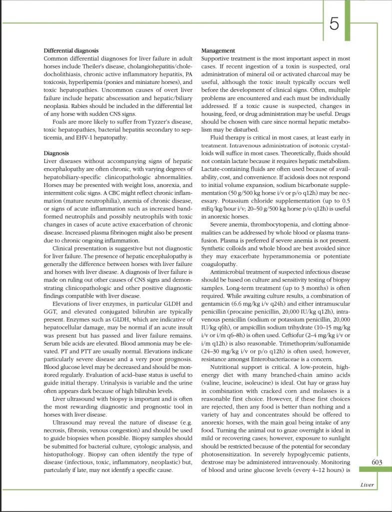 Screenshot of Equine Vet Medicine textbook showing structured layout